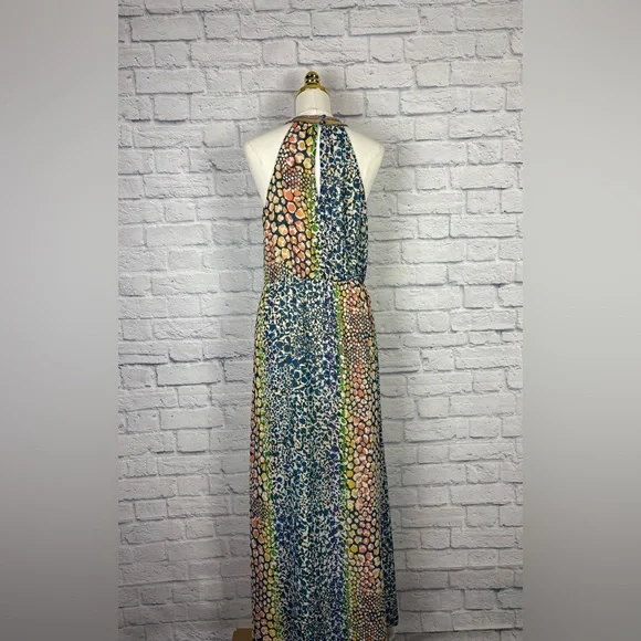Anthropologie HD in Paris Mayacamas Maxi Dress Size 6 - Picture 7 of 8